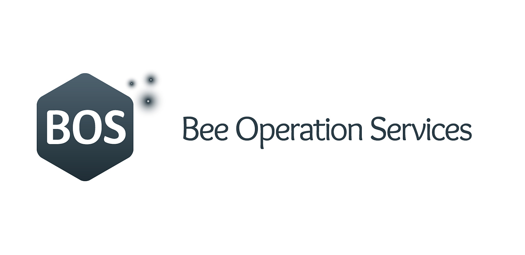 Bee Operation Services (BOS): Optimization of Sustainable Energy Installations