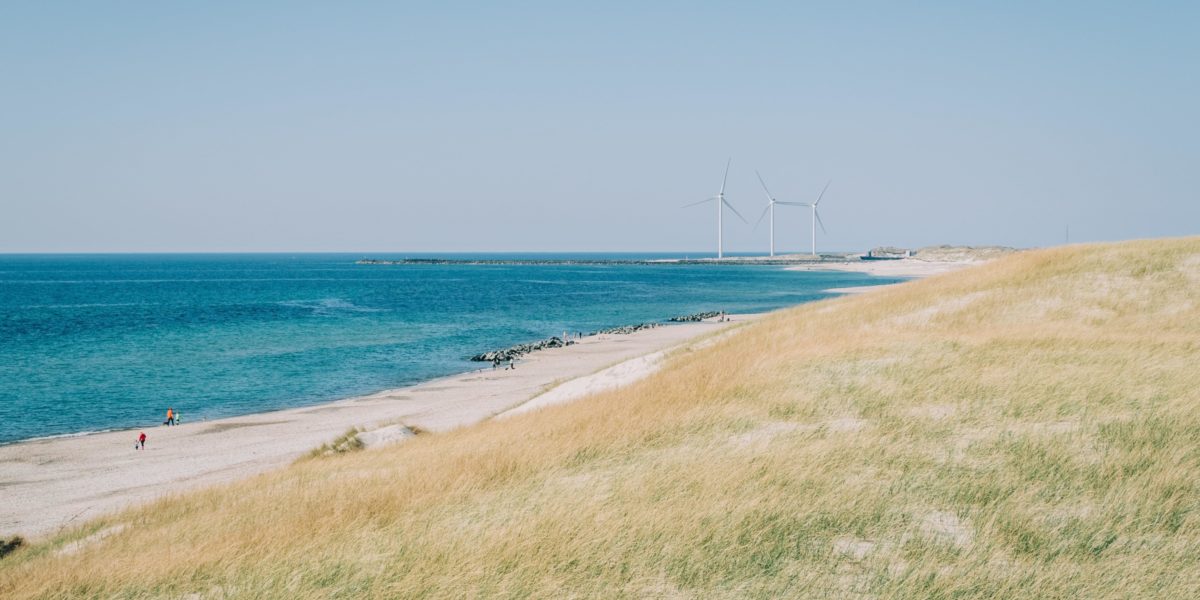 BEE is now an official partner of Smart Delta Resources and ODE Vlaanderen