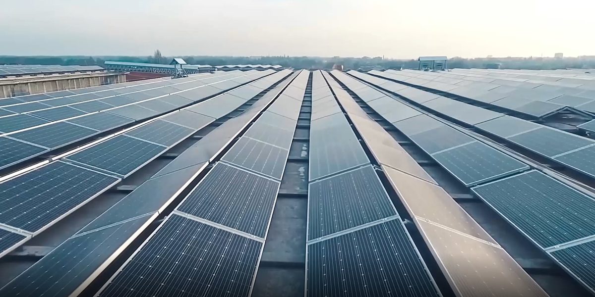 Why BEE is Belgium’s leader in smart solar energy management