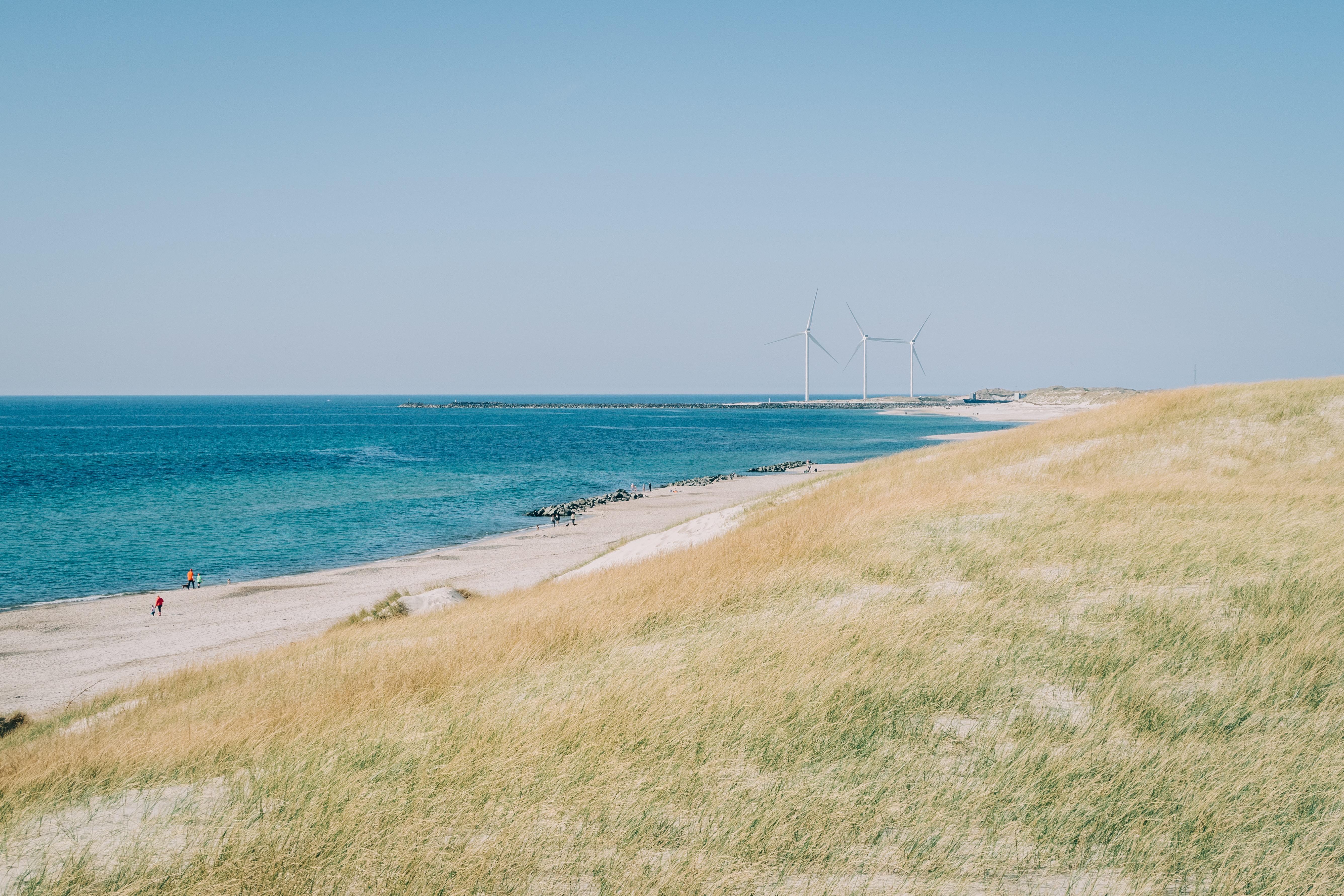 BEE nu ook officieel partner van Smart Delta Resources en ODE Vlaanderen