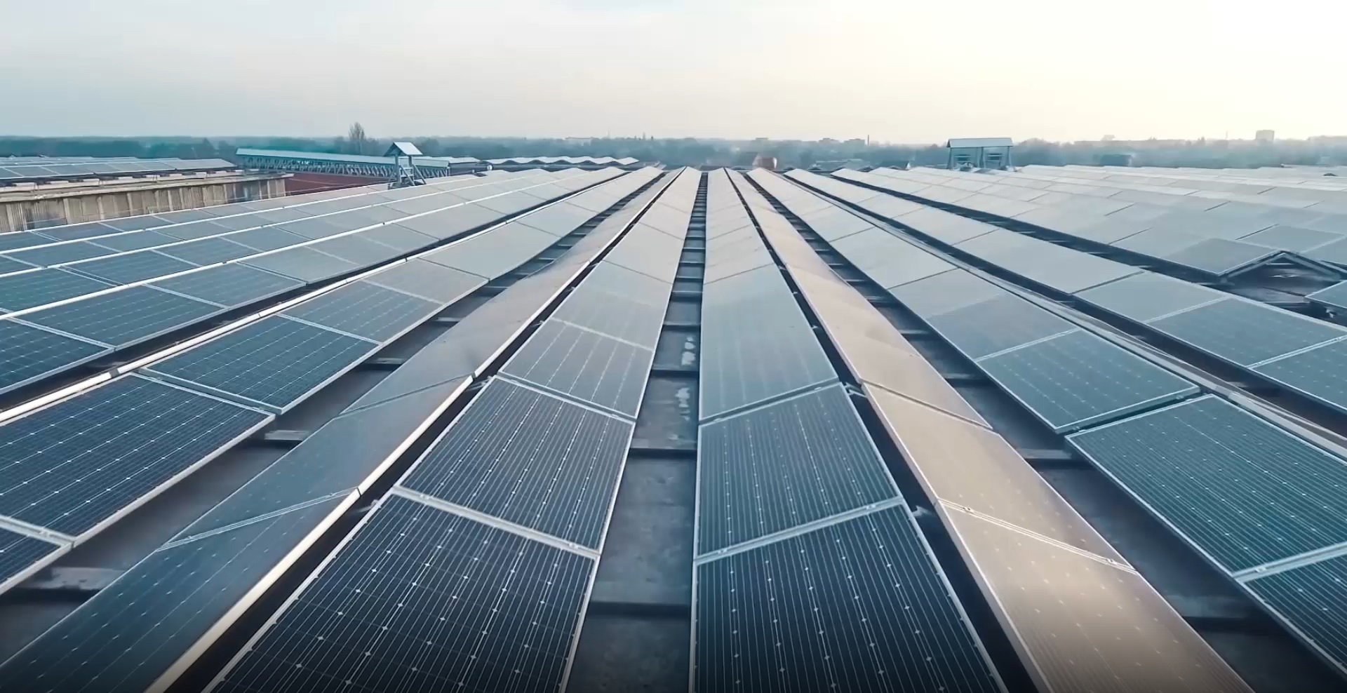 Why BEE is Belgium’s leader in smart solar energy management